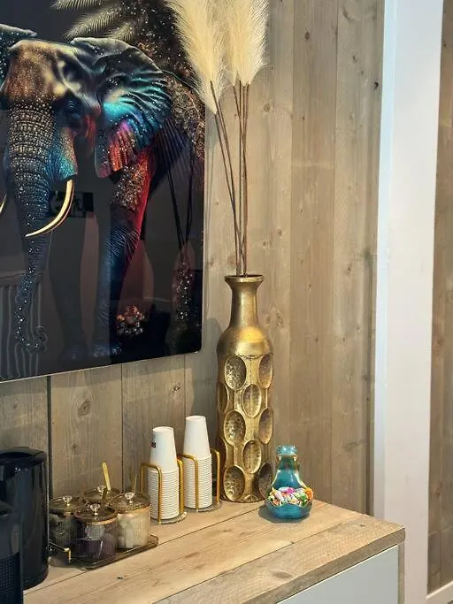 דירות Grote Kamer In Centrum Brugge